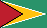 Guyana flag